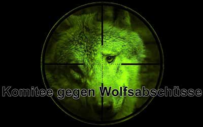 Komitee gegen Wolfsabschüsse