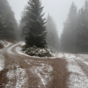 whatsapp-image-2026-03-11-at-11.58.393