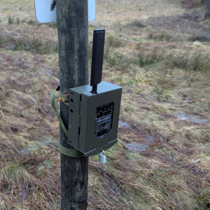 whatsapp-image-2026-03-11-at-11.58.4211