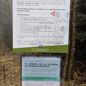 whatsapp-image-2026-03-11-at-11.58.424