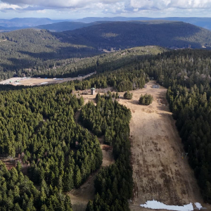 whatsapp-image-2026-03-11-at-11.58.426