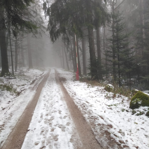 whatsapp-image-2026-03-11-at-11.58.427