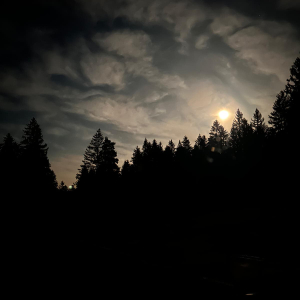 whatsapp-image-2026-03-11-at-11.58.4313